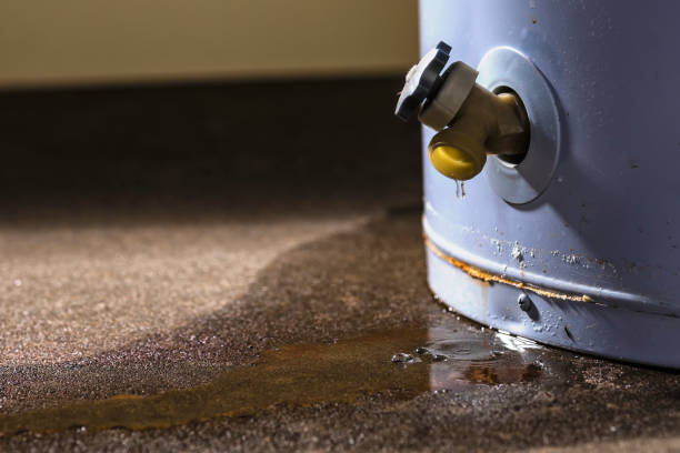 Best Water damage restoration experts  in New Market, MD