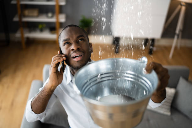 Best 24-hour water damage restoration  in New Market, MD