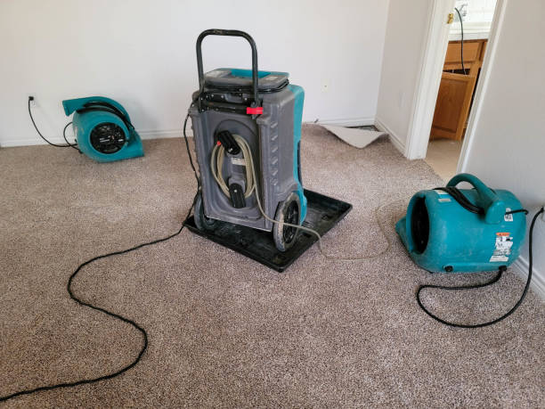 Best 24/7 water damage repair  in New Market, MD