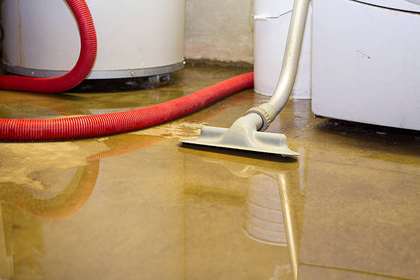 Sewage cleanup and water damage restoration in MD