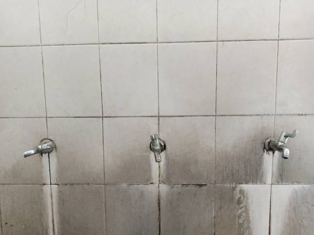 Best Flood damage cleanup  in New Market, MD