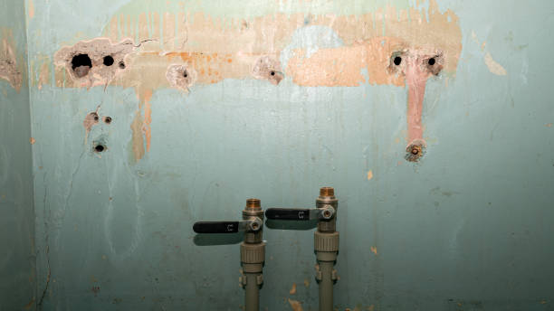 Best Mold removal after water damage  in New Market, MD