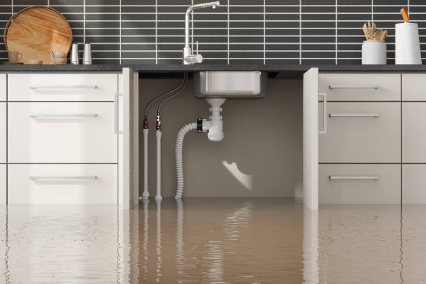 Best Flooded house restoration  in New Market, MD